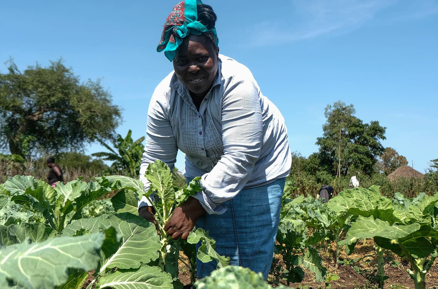 Lancement d&rsquo;un projet pour des chaînes de valeurs agricoles résilientes en Côte d&rsquo;Ivoire et dans les pays ACP