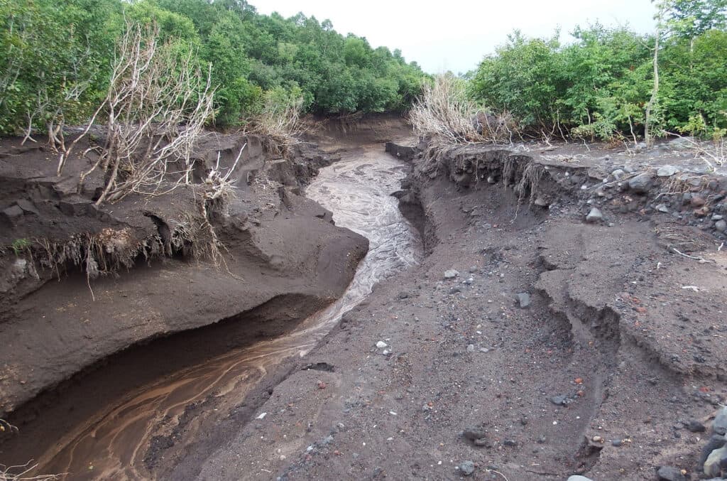 Le cyclone Freddy touche Madagascar : les conséquences d’une île vulnérable aux catastrophes naturelles