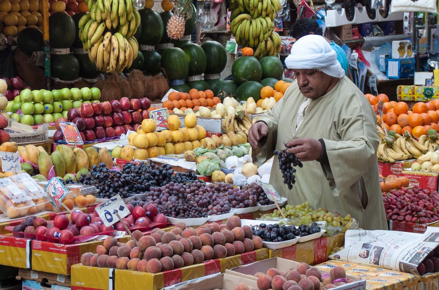 Lutte contre l’inflation : le gouvernement Egyptien vient en aide à la population