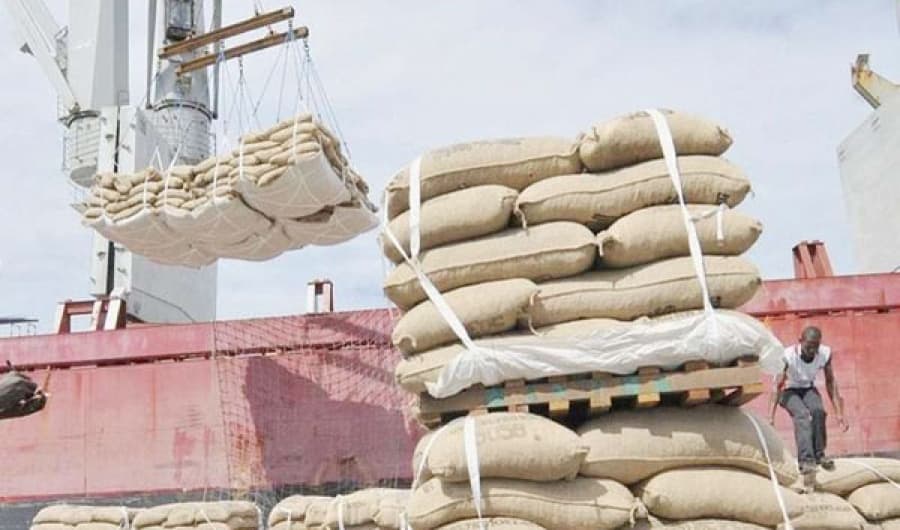Côte d’Ivoire : Le gouvernement veut intensifier sa présence sur le marché américain