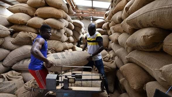 Côte d&rsquo;Ivoire : Crise du cacao, gros désaccord entre les producteurs et l&rsquo;État sur 100.000 tonnes de fèves invendus