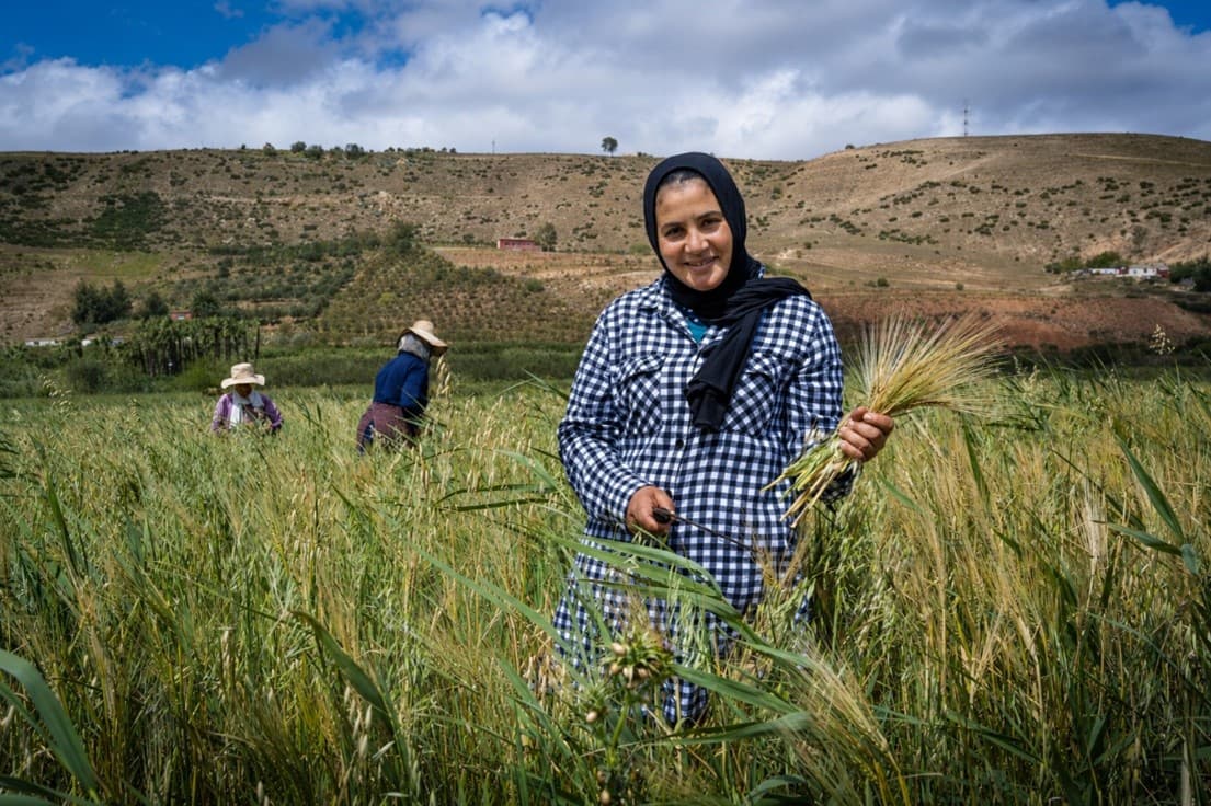 Maroc : l&rsquo;agriculture tire la croissance vers le haut en 2025