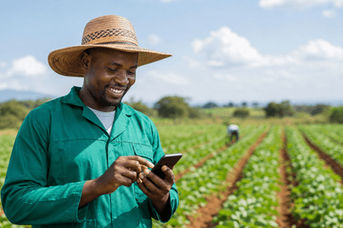 Agriculture numérique : le Tchad s’inspire du Niger pour moderniser ses services aux producteurs
