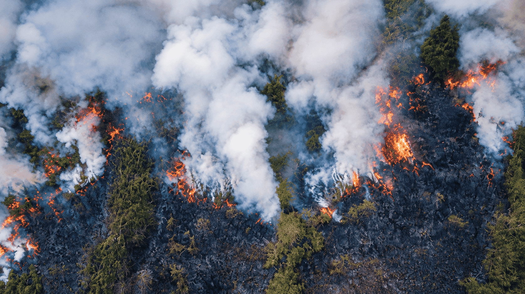 Chaleur et incendies : la pollution de l’air change de visage