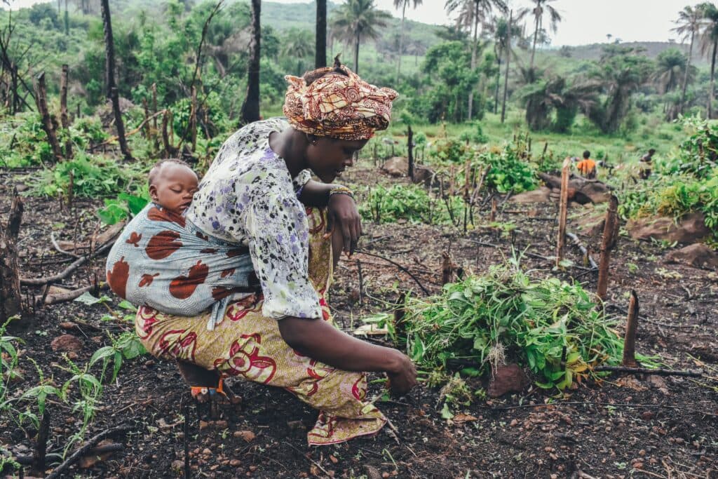 Lutte contre le réchauffement climatique – L’Afrique en marche pour trouver les solutions visant à protéger son écosystème