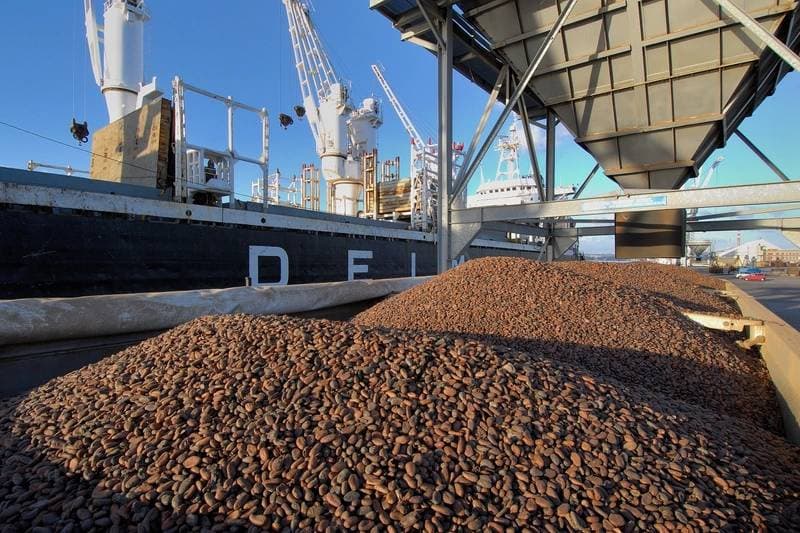 Côte d’Ivoire : Campagne cacaoyère 2024-2025, 549.000 tonnes de cacao déjà enregistrées dans les ports