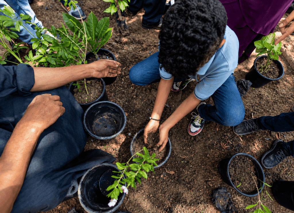 Somalie : des jardins scolaires transforment l’éducation climatique en apprentissage pratique